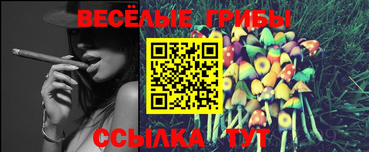 Галлюциногенные грибы мухоморы Гусев