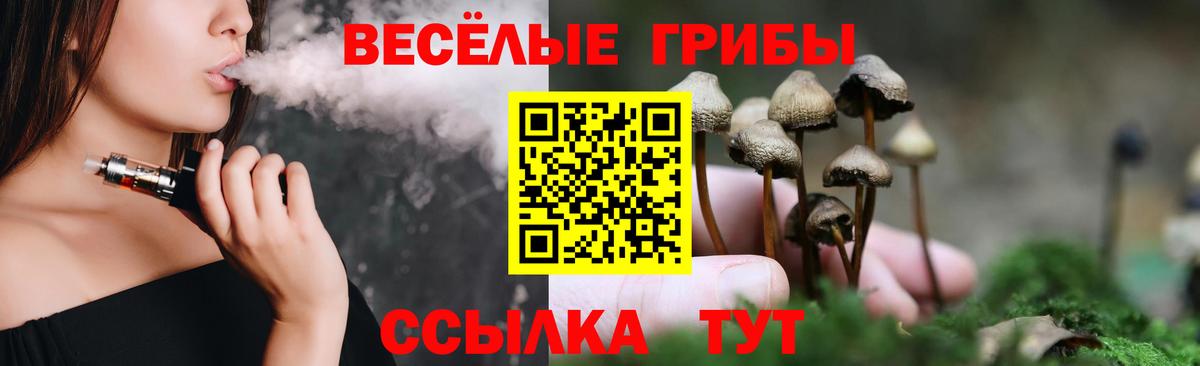 Галлюциногенные грибы Cubensis  Вход с VPN  Галлюциногенные грибы GOLDEN TEACHER  Гусев 